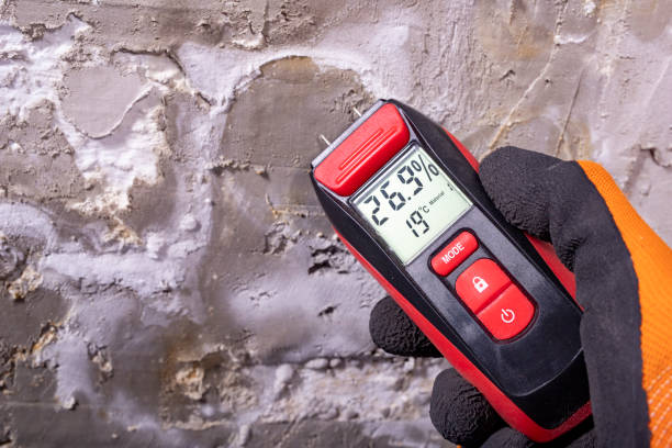 Best HVAC Mold Remediation in Liberty, NC