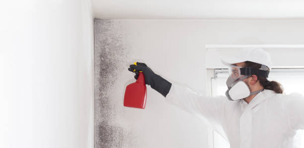 Best DIY Mold Remediation Support Services in Liberty, NC